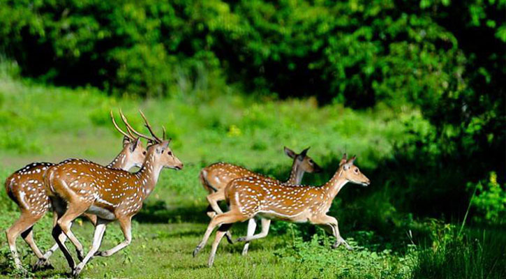 ‘দেখা হয় নাই চক্ষু মেলিয়া ঘর হতে দুই পা ফেলিয়া’