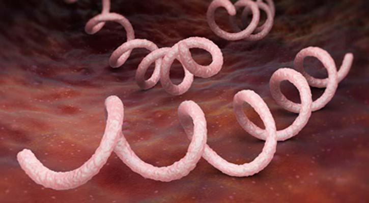 সিফিলিস (Syphilis) কী? প্রতিরোধ ও চিকিৎসা