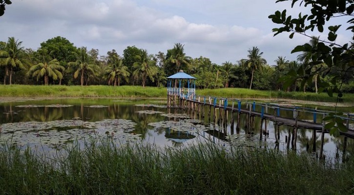 সুন্দরবন ভ্রমণ