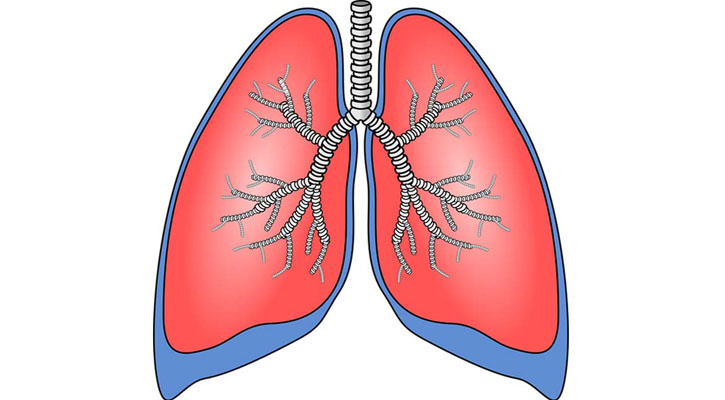 ফুসফুসের সুস্বাস্থ্য ধরে রাখুন ঘরোয়া উপায়ে
