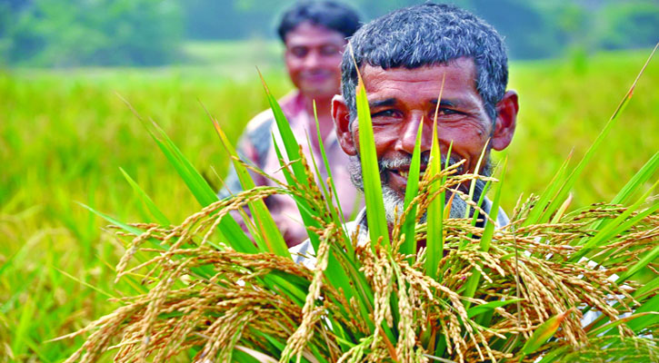 বাংলাদেশের কৃষক কতটা ন্যায্য মূল্য পায়? বাংলাদেশের কৃষক কতটা ন্যায্য মূল্য পায়?