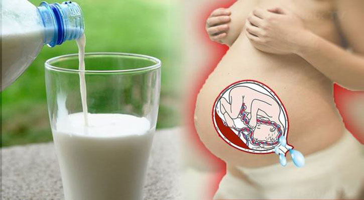 গর্ভাবস্থায় কতটুকু দুধ পান করা উচিত?