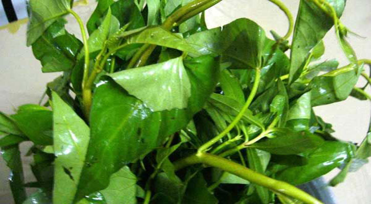 কলমি শাকের উপকারিতা কলমি শাকের উপকারিতা