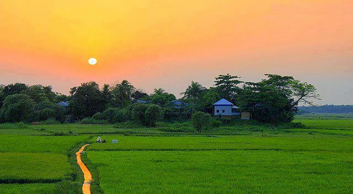 সকালটা হোক আনন্দময় ও উপকারী