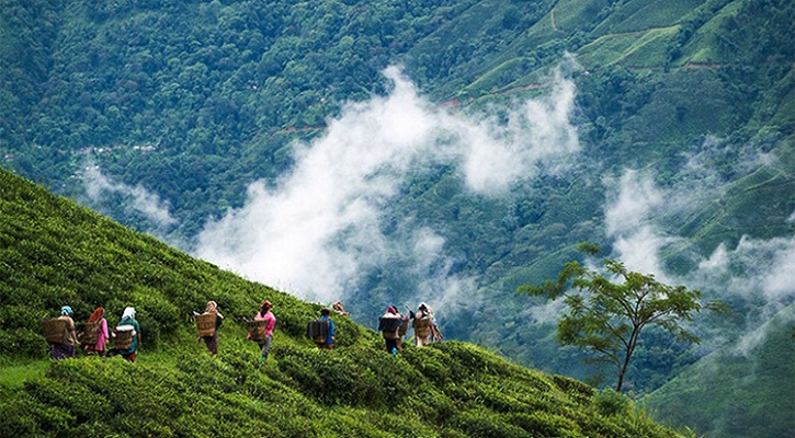 দার্জিলিং ভ্রমণের স্মৃতি