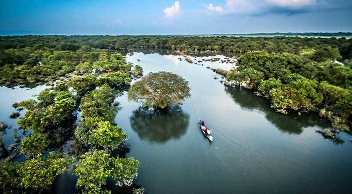 বাংলাদেশের একমাত্র মিঠাপানির জলাবন রাতারগুল সম্পর্কে পড়ুন 