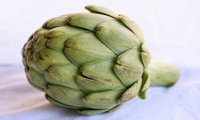 Brief Details About Artichoke