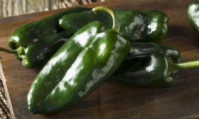 Nutrition and Benefits of Poblano Peppers?