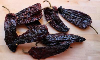 Ancho Chile Pepper