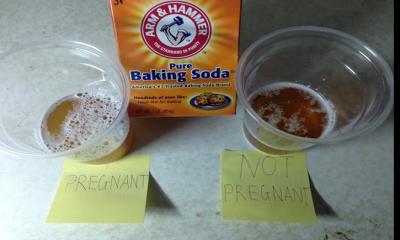 What Is the Baking Soda Pregnancy Test?