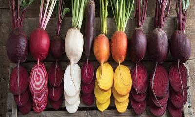 Different Types of Beets