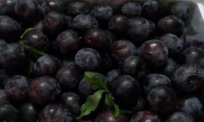 Black plums Salad for Weight Loss 
