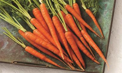 History Of Carrots 