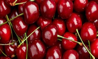 Some Reasons You Should Eat More Cherries