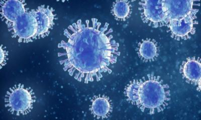 Is Asymptomatic Transmission of the Coronavirus Disease Common?