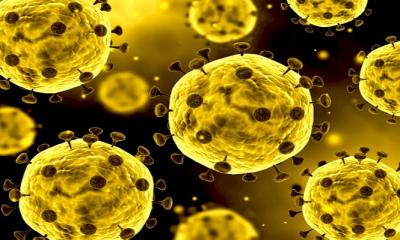 Some Things to Consider During Coronavirus 