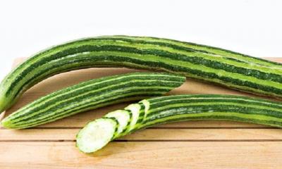 Nutrition of Armenian Cucumber