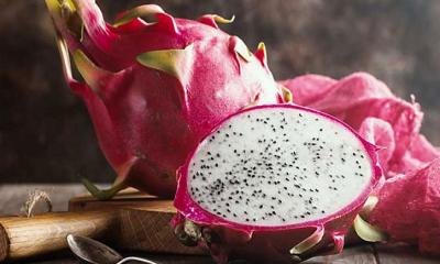 Why You Should Add Dragon Fruit to Your Diet ?