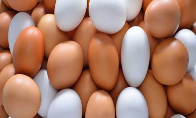 Brown vs White Eggs — Is There a Difference?