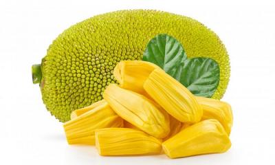 Jackfruit Acts as a Miracle Healer! Read Details 