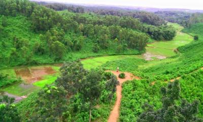 বাংলাদেশের মধ্যাংশের অঞ্চল জামালপুর জেলা