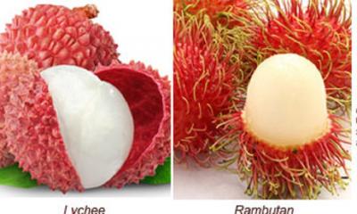 Difference Between Rambutan Vs. Lychee