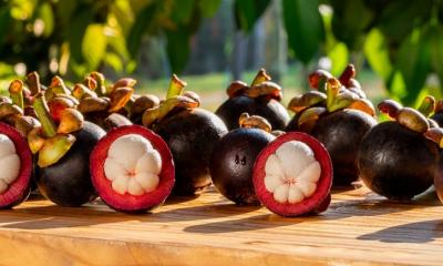 5 Health Benefits of Mangosteen