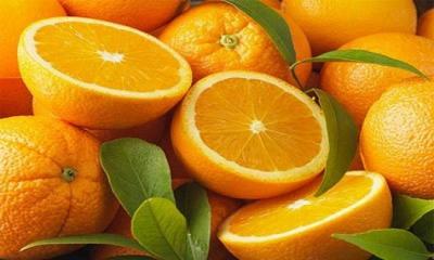 Nagpur Orange