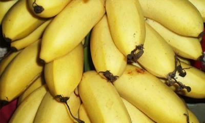 Nanjanagud Banana