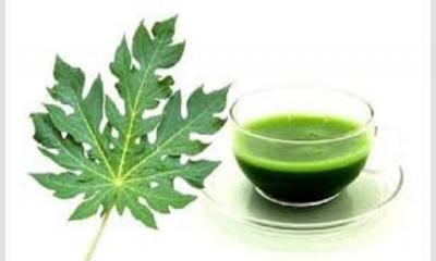 What is the best way to make Papaya Leaf Juice?