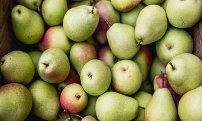 Health and Nutrition Benefits of Pears
