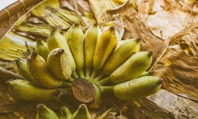 Pisang Awak Banana