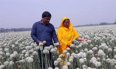 একজন সফল কৃষক ফরিদপুরের সাহিদা বেগম!