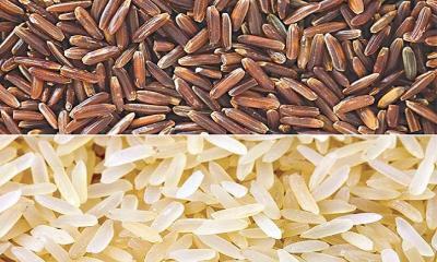 Can Rice Help You Lose Weight?