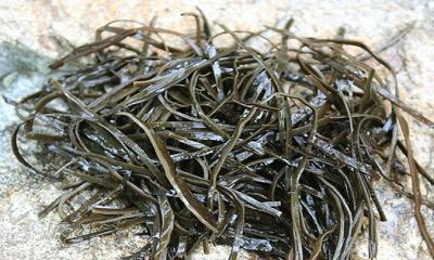Arame Seaweed