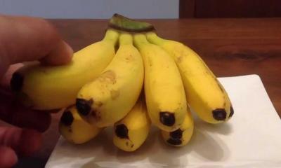 Señorita Banana