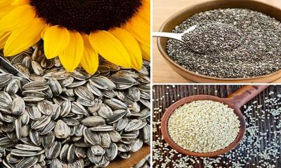 Some Seeds will Make easy to Lose Weight Quickly