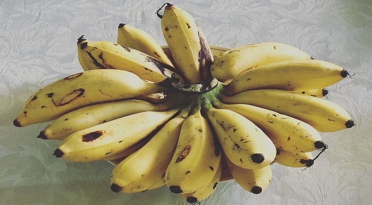 Latundan Banana