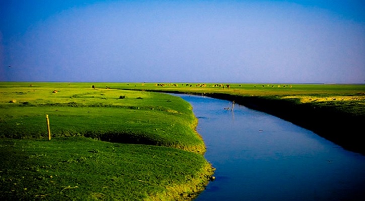 নিঝুম দ্বীপ সম্পর্কে বিস্তারিত