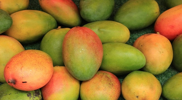 How Much Nutrition A Mango Contains? How Much Nutrition A Mango Contains?
