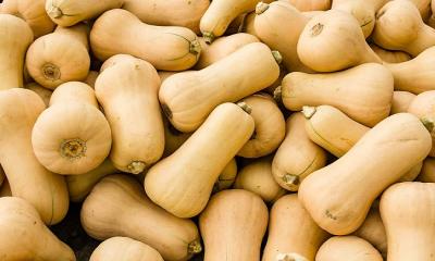 Butternut Squash and their nutritional profiles.