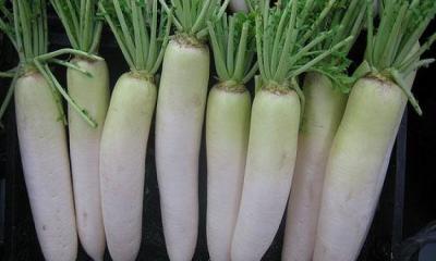 Daikon Radish and their nutritional profiles.