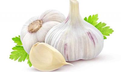Garlic and their nutritional profiles.