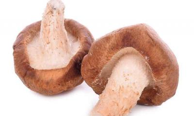 Mushrooms and their nutritional profiles.