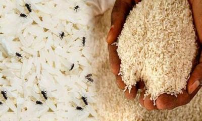চালে পোকা ধরা সমাধানে ৫ ঘরোয়া উপায়