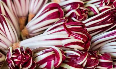 Radicchio and their nutritional profiles.