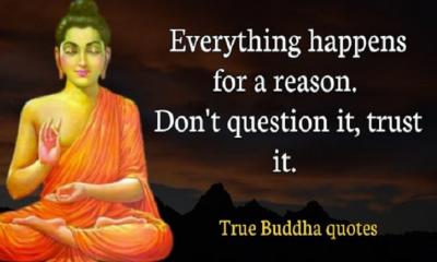 You Should Know Those Buddha Quotes on Life