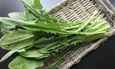 Dandelion Greens and their nutritional profiles.