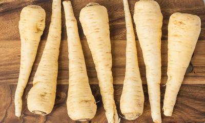 Parsnips and their nutritional profiles.