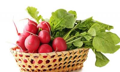 Radish and their nutritional profiles.
